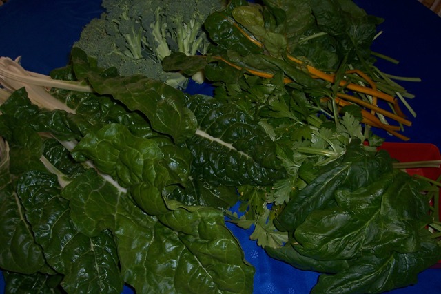 oops I forgot to show you this.jpg