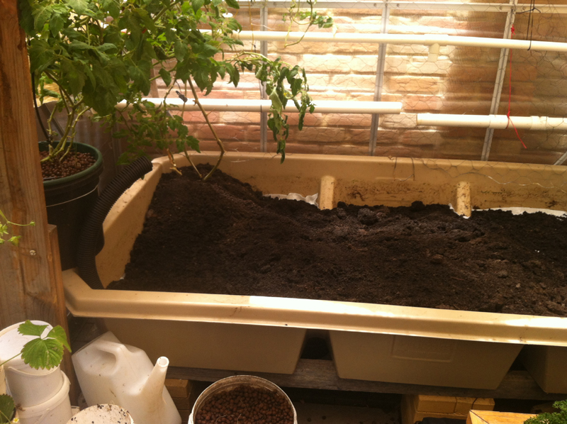 20 no more AP-WBed now.JPG