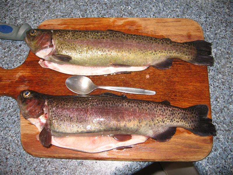 stainless 001 (Medium).jpg