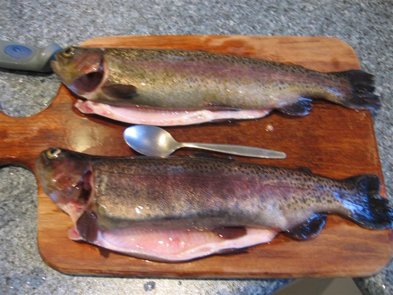 stainless 002 (Medium).jpg