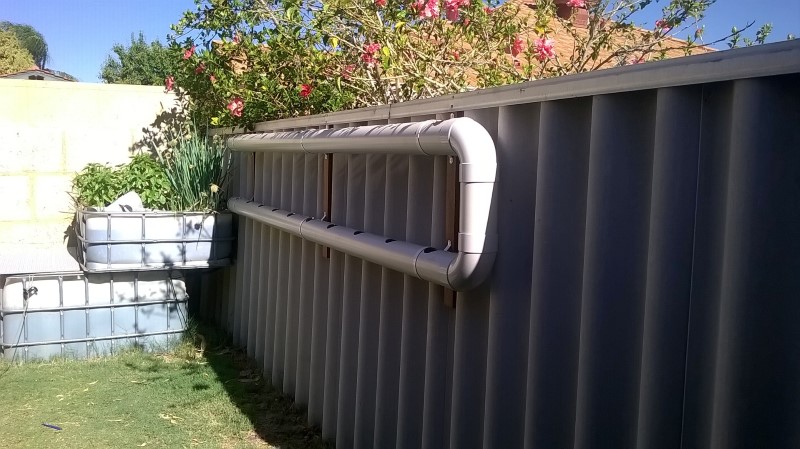 WP_20150111_001 (Custom).jpg