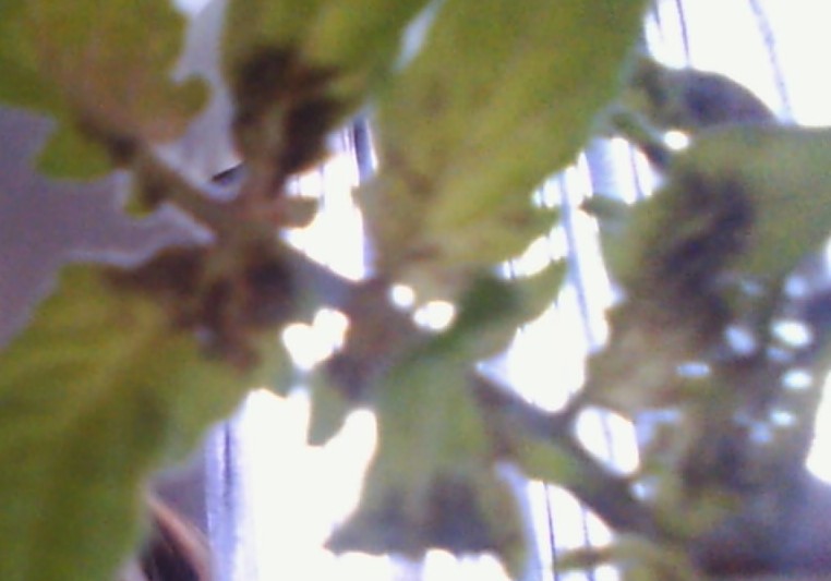 WIN_20150113_164545 (2).JPG