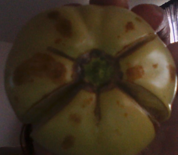 WIN_20150113_164528 (2).JPG