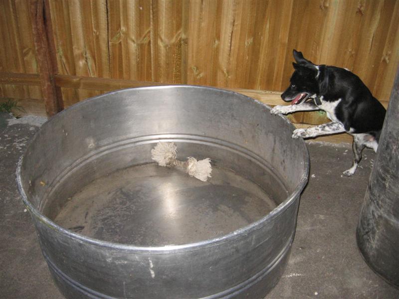 stainless 005 (Medium).jpg