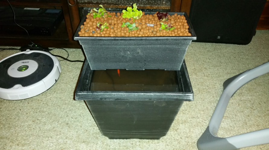 tmp_7794-2015-01-15 21.21.161980408962.jpg