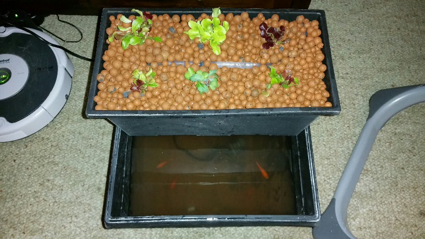 tmp_7794-2015-01-15 21.22.20-84974652.jpg