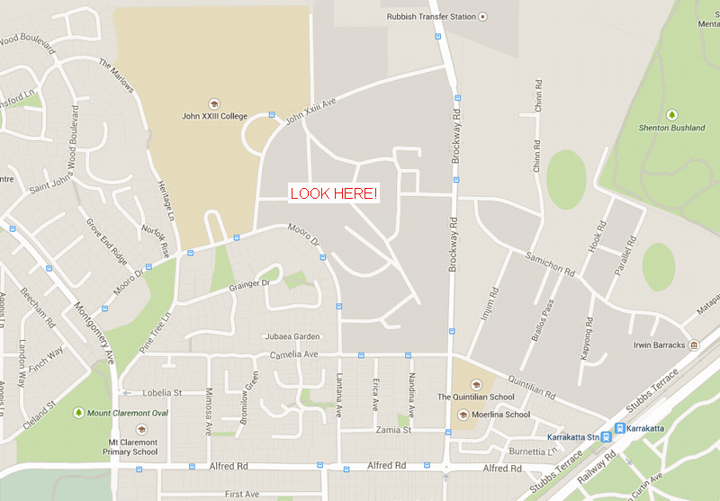 Where to find Motorbike frogs.png