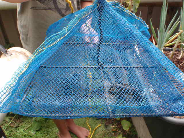 Piramid pannel (2).JPG