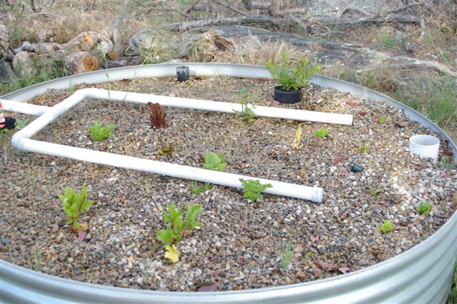 November2007 041.jpg