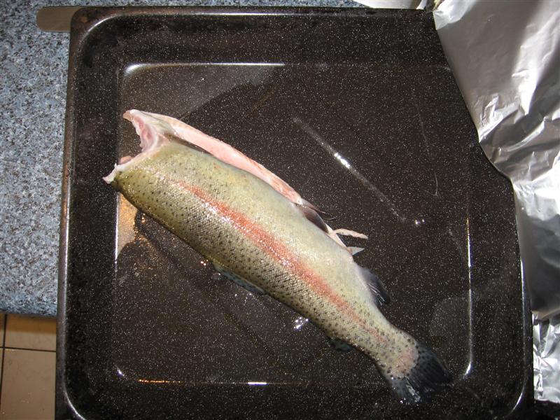 600g 002 (Medium).jpg