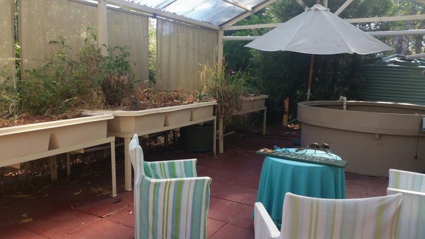 20150110_085332_resized (Small).jpg