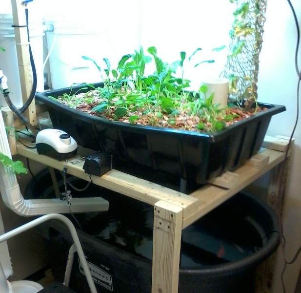 MCC Aquaponics System Small Pixe.jpg