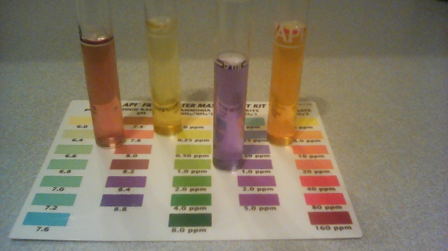 2015-01-31 23.02.05.jpg