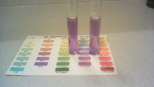 2015-01-31 22.47.06.jpg