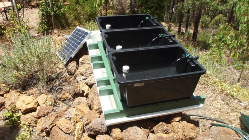 the beginning 013.JPG