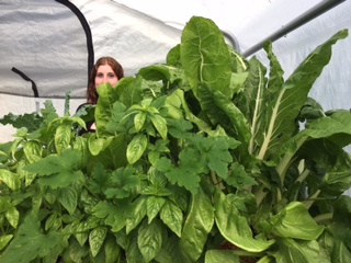 IBC GB out of control.JPG