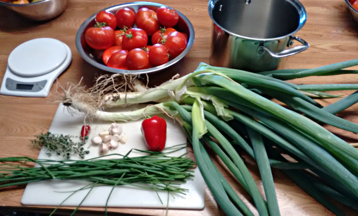 TomatoandSpringOnion sauce20150201.jpg