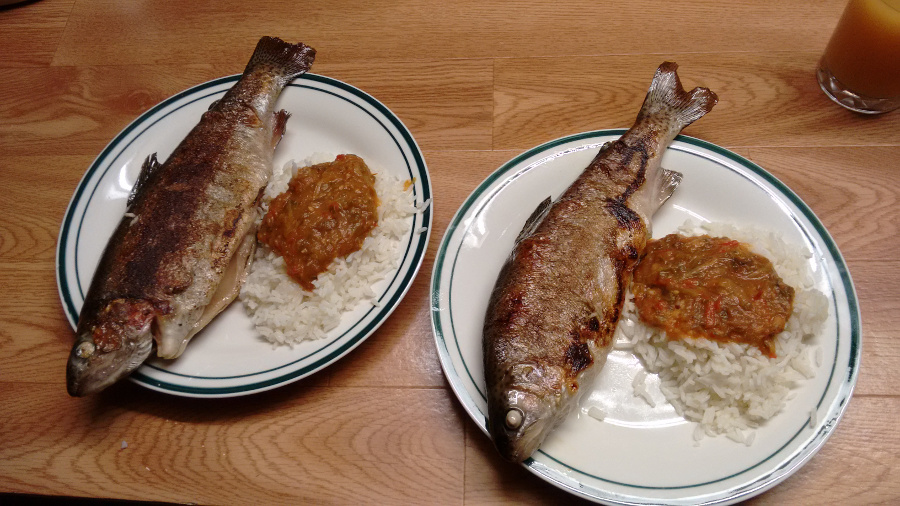 Trout-sauce-rice20150203.jpg