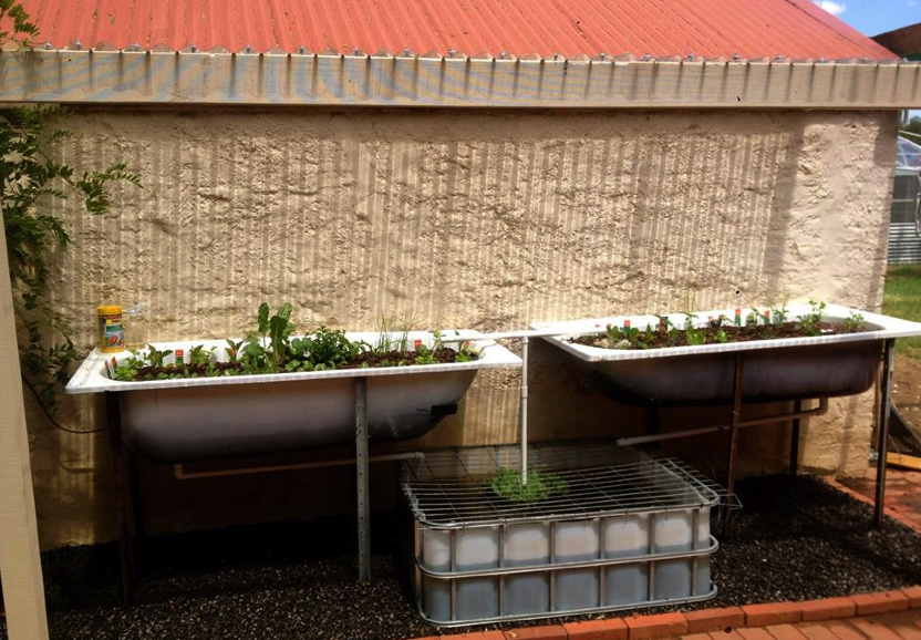 Screen Shot 2015-02-03 at 3.58.39 PM.png