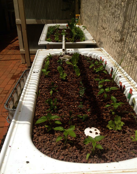 Screen Shot 2015-02-03 at 3.59.23 PM.png