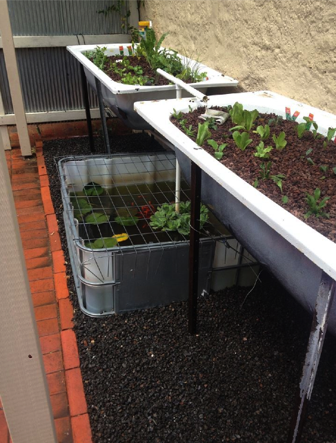 Screen Shot 2015-02-03 at 3.58.59 PM.png