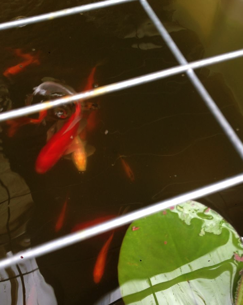 Screen Shot 2015-02-03 at 3.59.16 PM.png