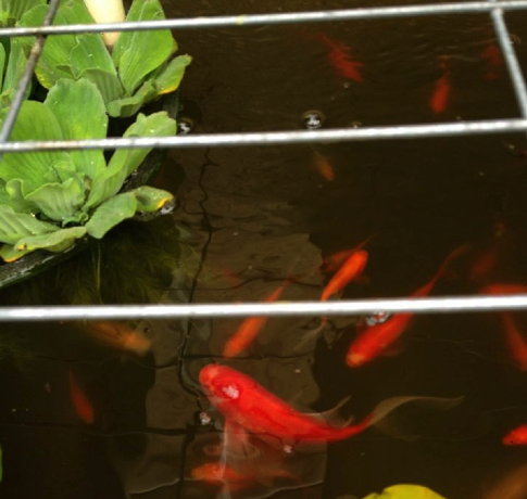 Screen Shot 2015-02-03 at 3.59.08 PM.png