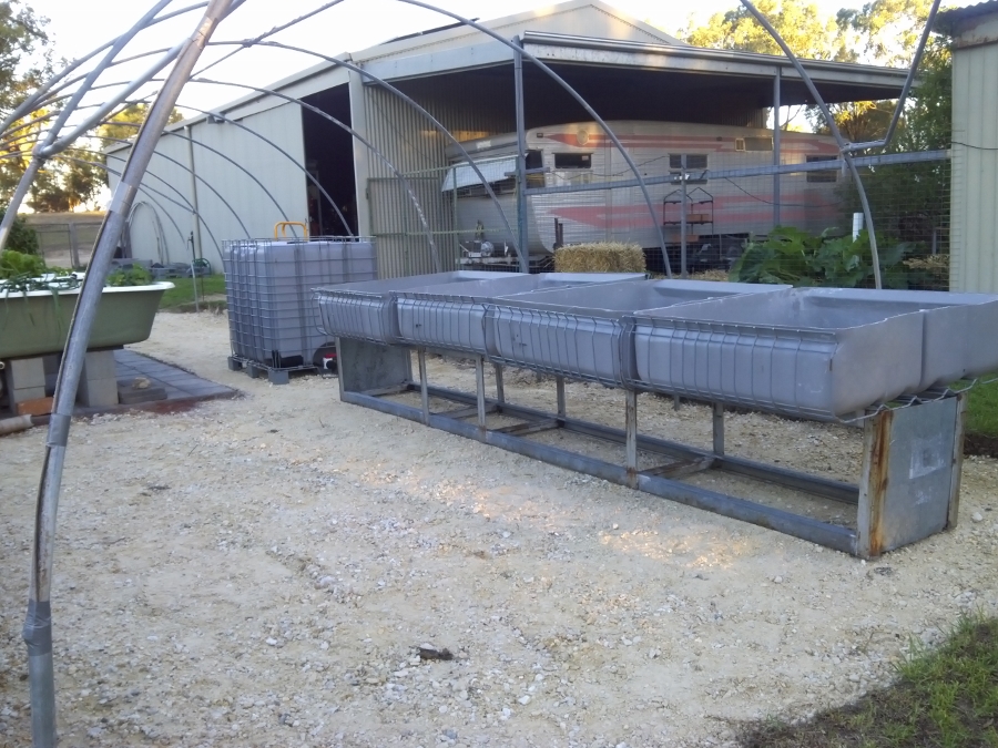 IMG_20150116_200043 (900x675).jpg