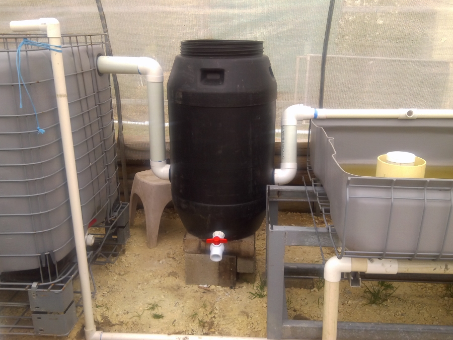 IMG_20150207_141513 (900x675).jpg