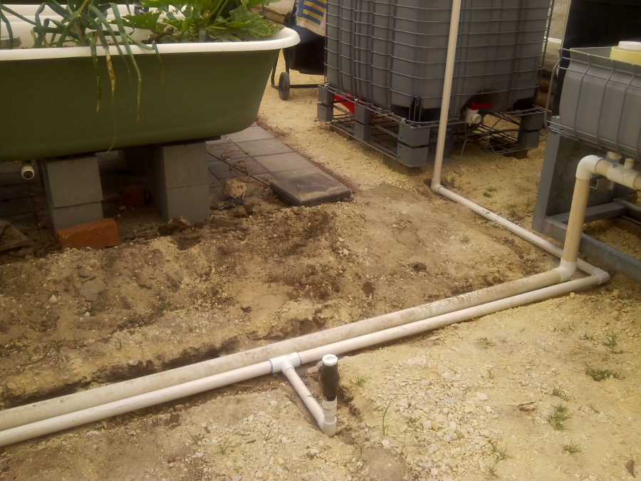 IMG_20150207_142559 (900x675).jpg