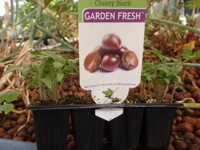 black cherry (3).JPG