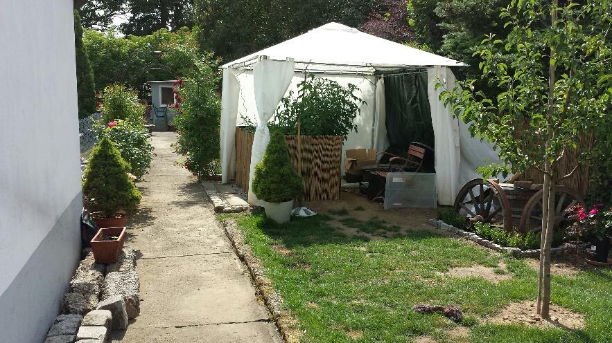 2015-02-12 21.16.53.jpg