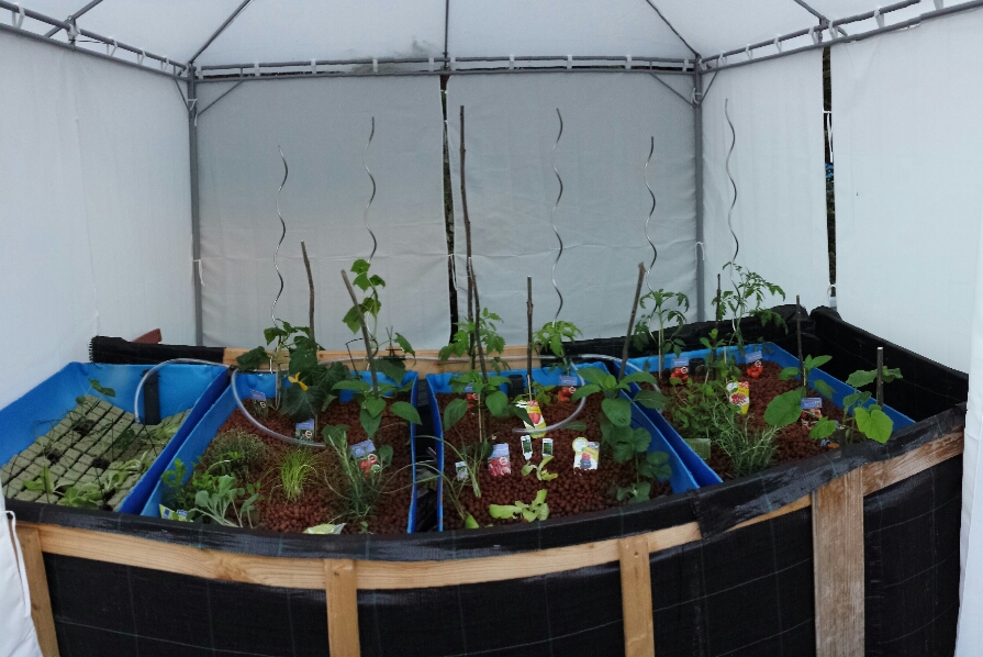 2015-02-12 21.25.09.jpg