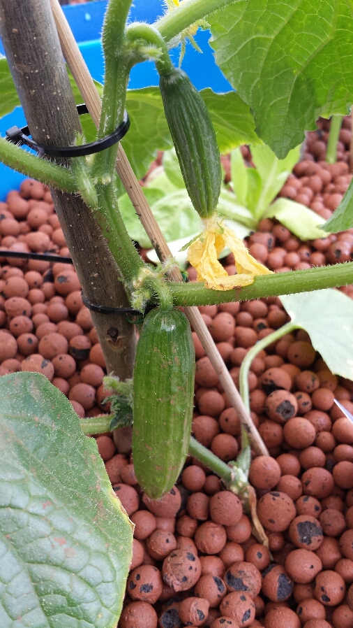 2015-02-12 21.22.58.jpg