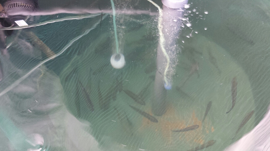 2015-02-12 21.17.44.jpg