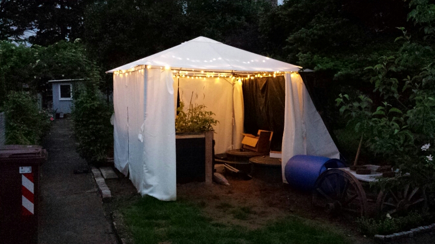 2015-02-12 21.22.11.jpg