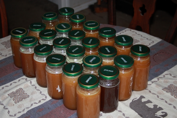Honey Harvest (600x400).jpg