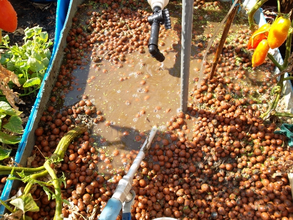 Cleaning with a wap (600x450).jpg