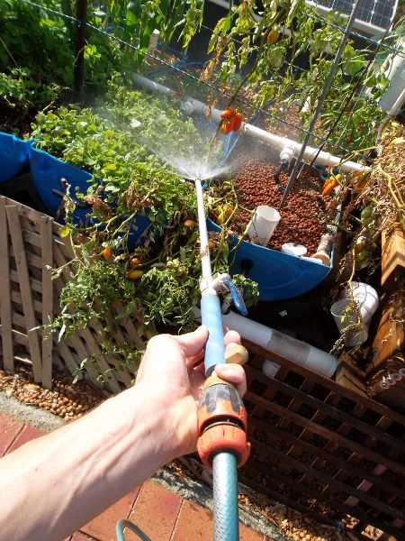 Cleaning with a wap (2) (450x600).jpg