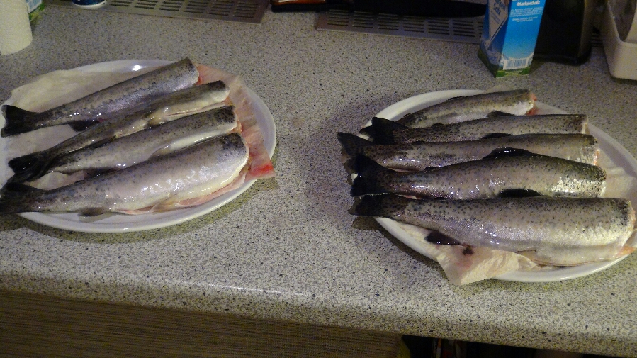 2015-02-13 10.48.09.jpg