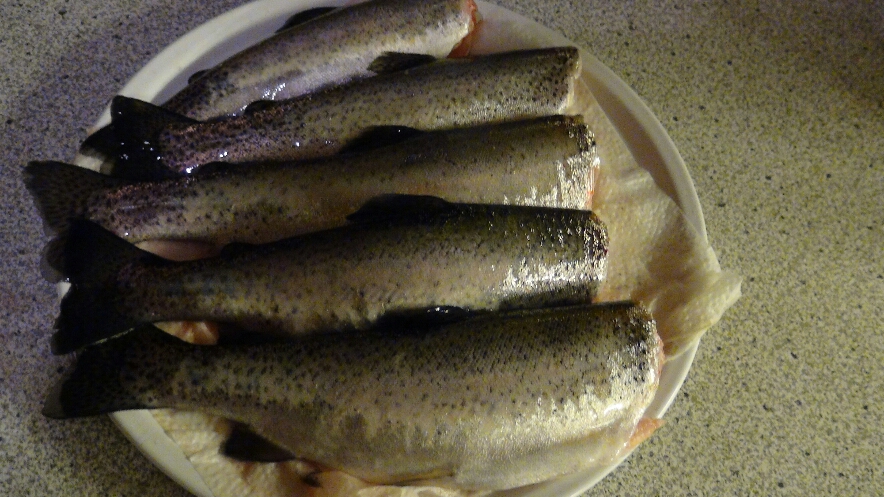 2015-02-13 10.49.07.jpg