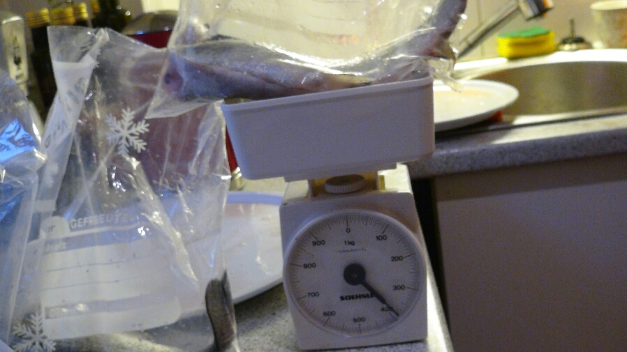 2015-02-13 10.47.29.jpg