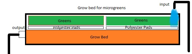 microgreens aquaponic.jpg