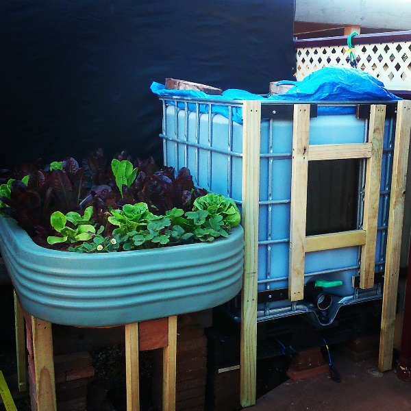 IMG_20150213_225129 e.jpg