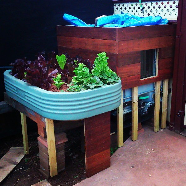 IMG_20150217_065145 e.jpg