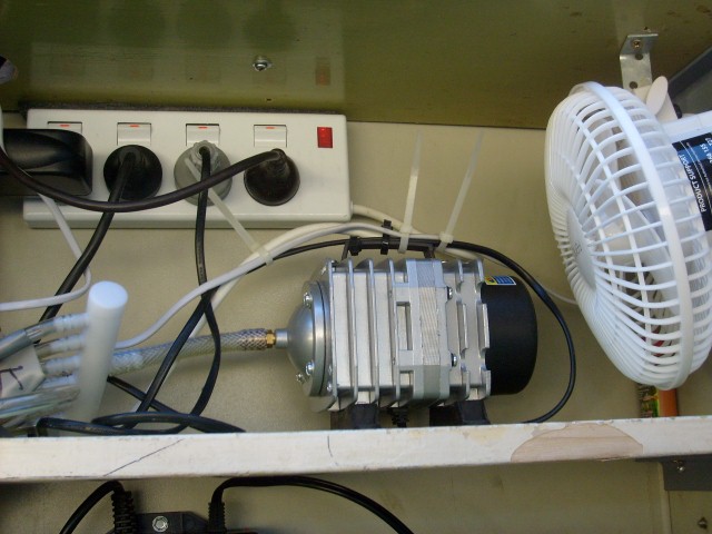 S6303272 (Small).JPG