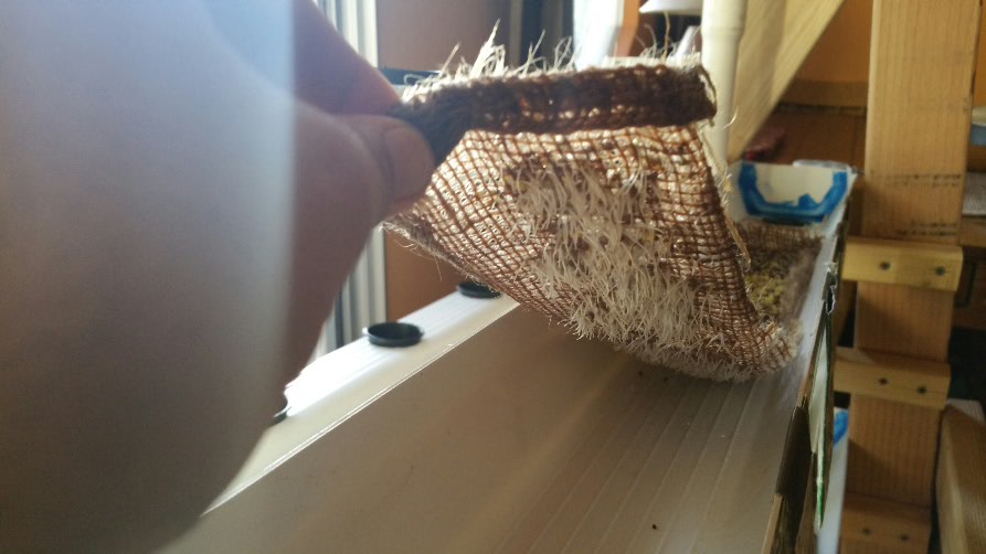 2015-02-19 17.14.09.jpg