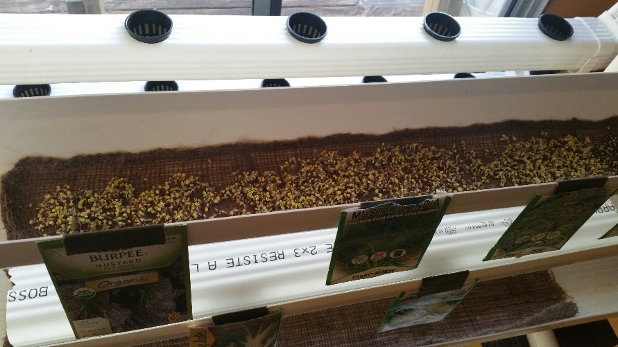 2015-02-19 17.11.22.jpg