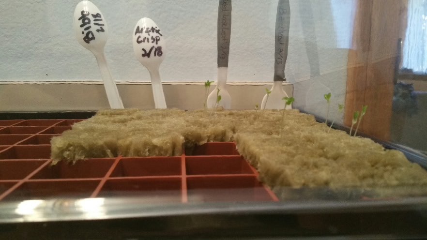 2015-02-19 17.12.25.jpg