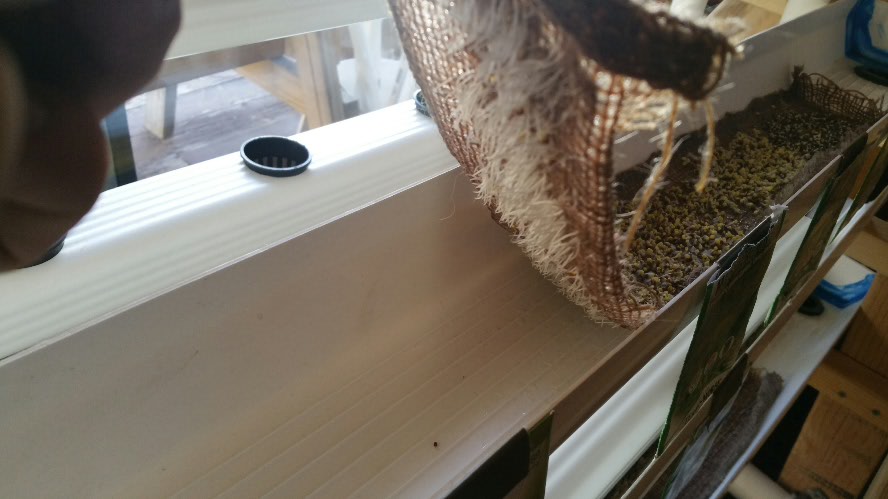 2015-02-19 17.13.32.jpg